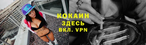 мяу мяу мука Баксан
