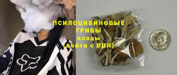 мяу мяу мука Баксан