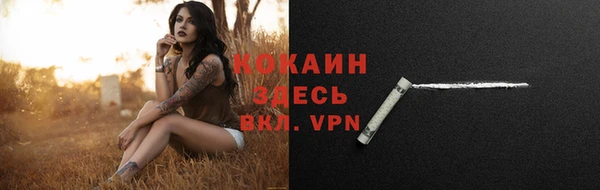 мяу мяу мука Баксан