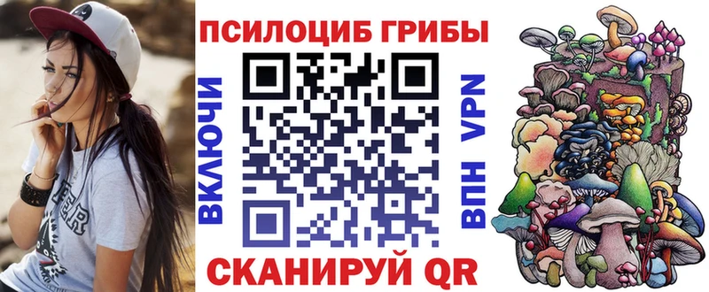 Псилоцибиновые грибы Cubensis Городец